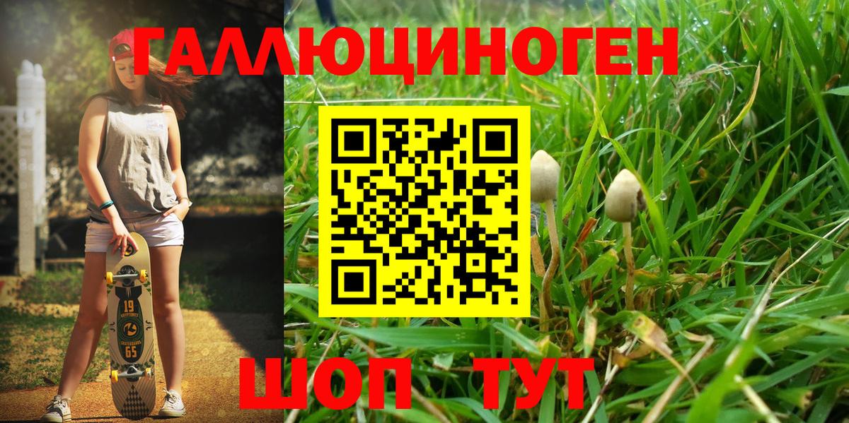 Галлюциногенные грибы MAGIC MUSHROOMS Воронеж